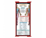 WhiteCoat Clipboard® Trifold - Red Occupational Therapy Edition